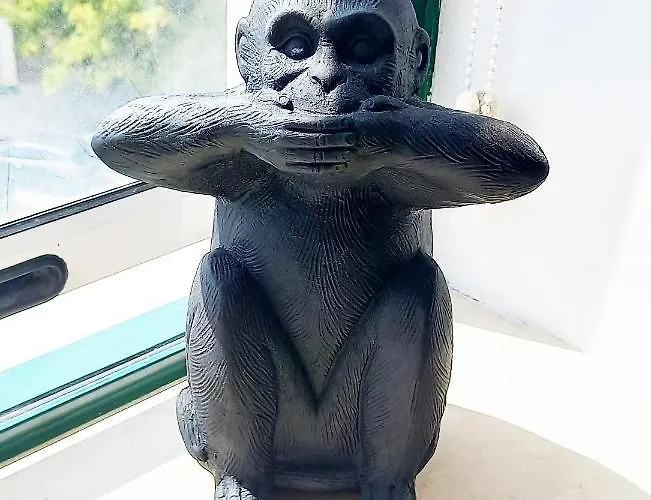 Apartman Figueira Penthouse By The Marina Figueira da Foz