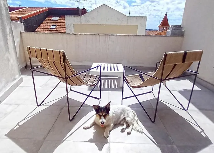 Figueira Penthouse By The Marina *