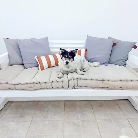 Apartamento Figueira Penthouse By The Marina